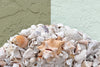 Island Chic Bahamian Shell Round Mirror