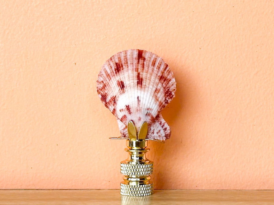 Scallop Shell Finial