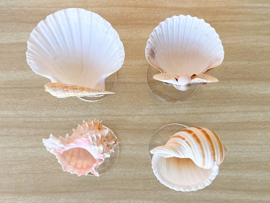 Set of Four Shell Coupes