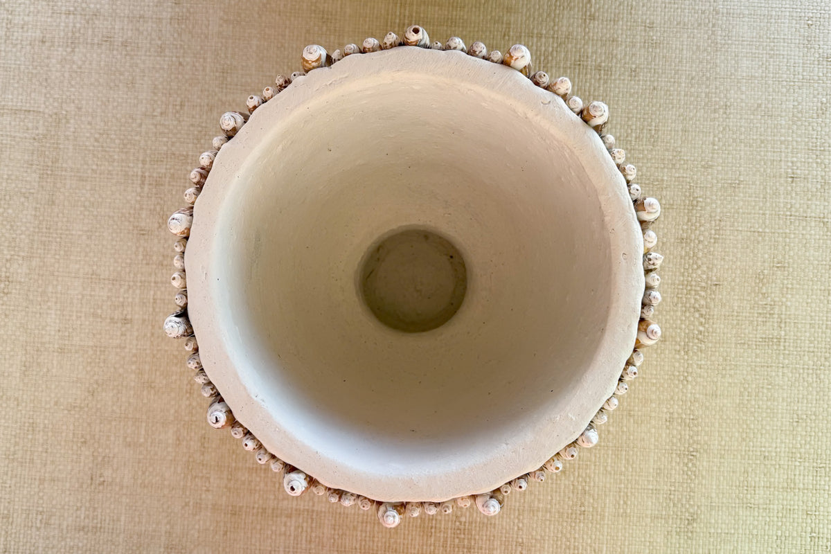 Shell Chic Cachepot