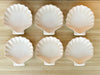 Seashell Dish Set