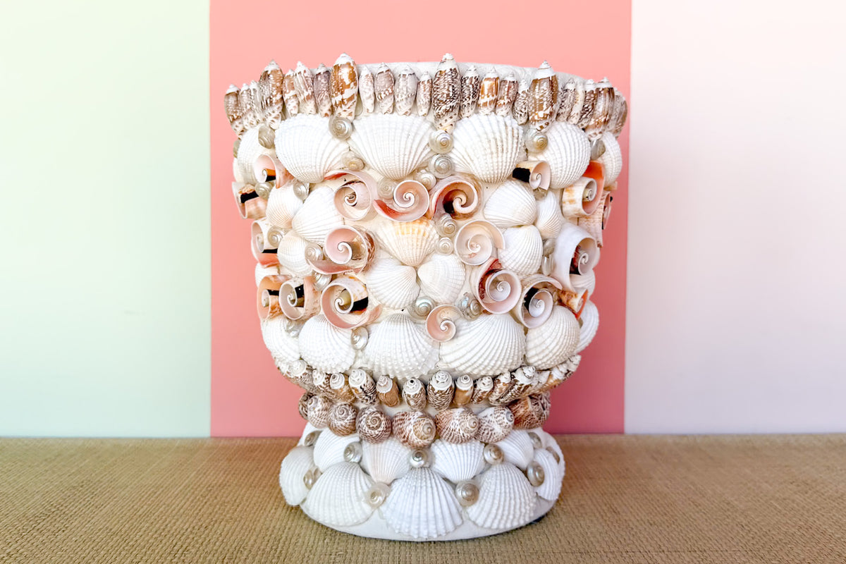 Shell Chic Cachepot