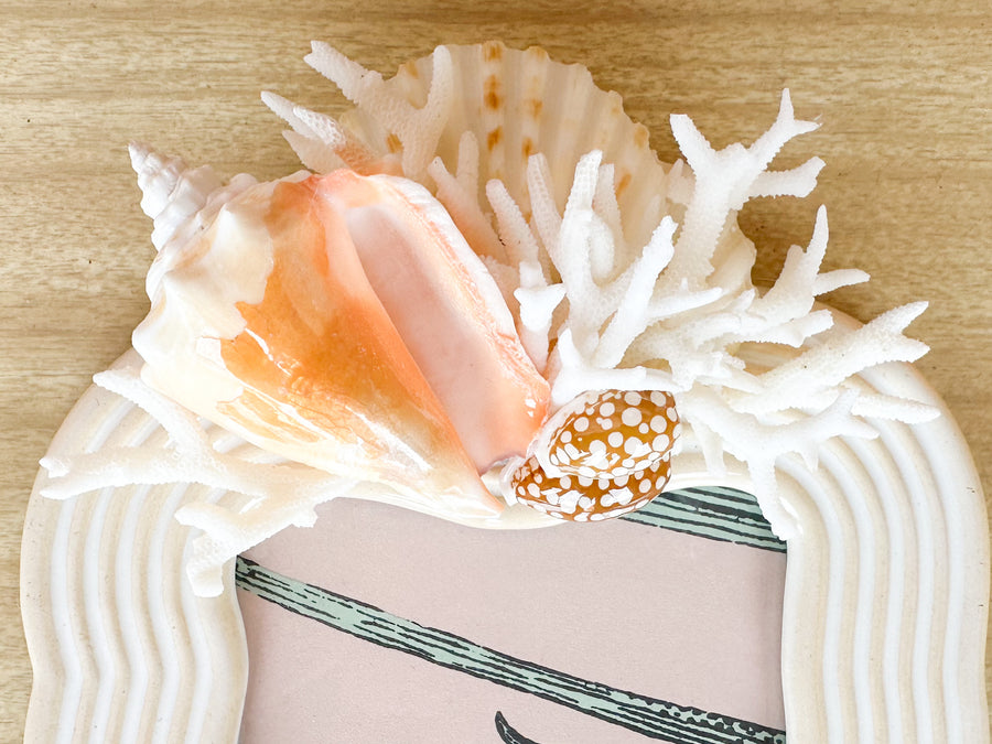 Peach Conch and Coral Frame