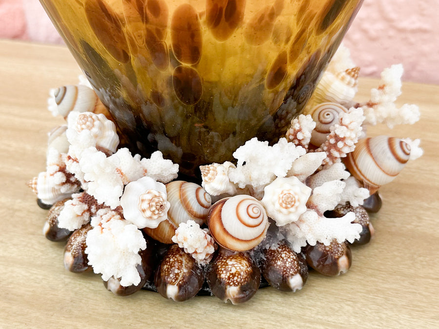 Tortoiseshell Shellegance Vase