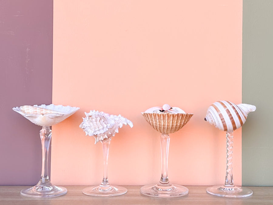 Set of Four Shell Coupes