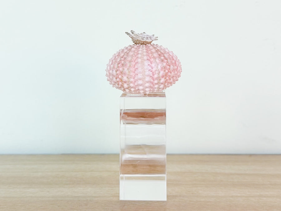 Pink Sea Urchin Lucite Napkin Ring