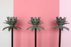 Set of Five Palm Tree Candle Holders