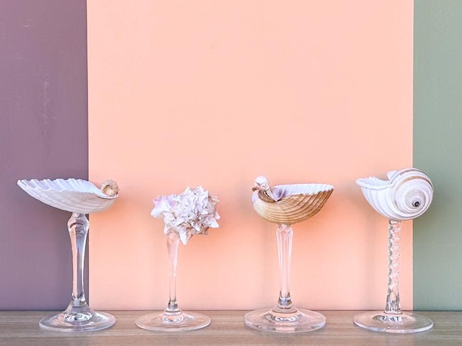 Set of Four Shell Coupes
