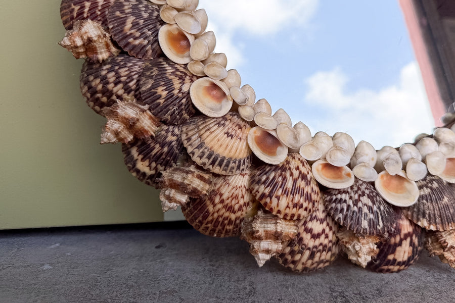 Old Florida Shell Mirror