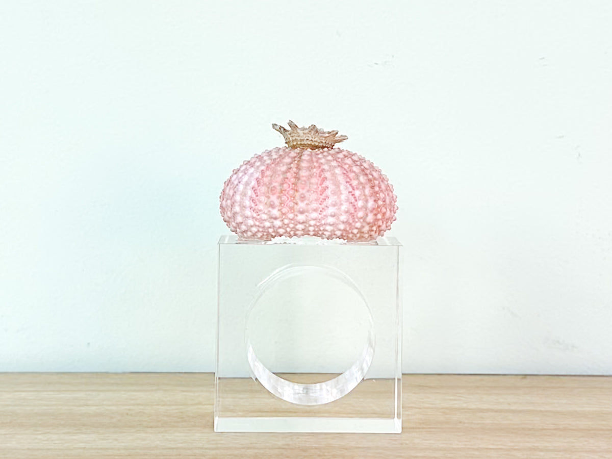 Pink Sea Urchin Lucite Napkin Ring