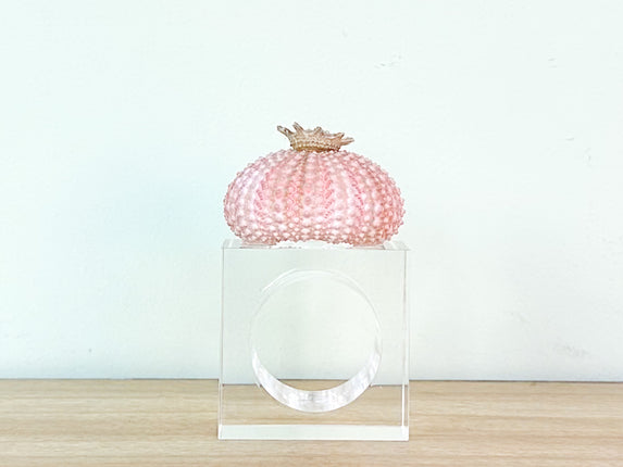 Pink Sea Urchin Lucite Napkin Ring