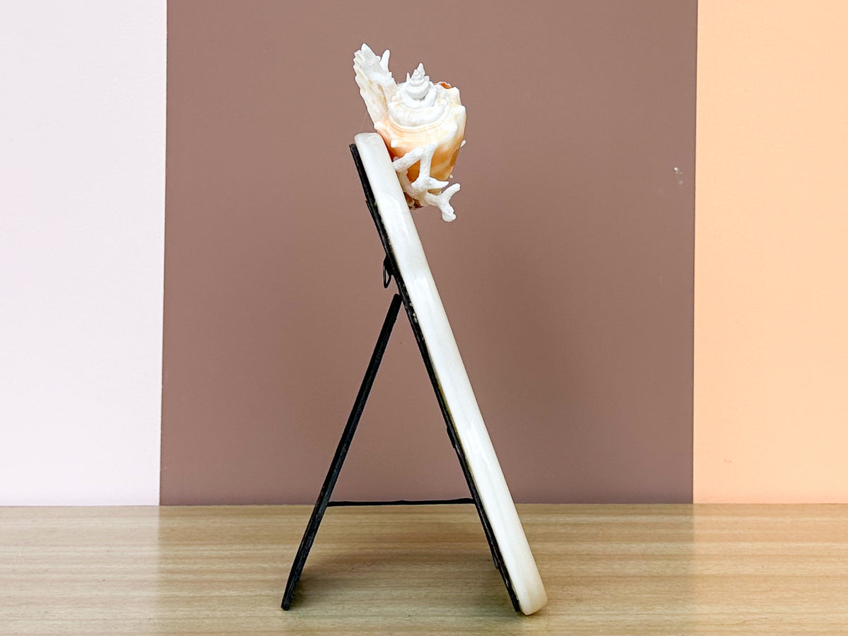 Peach Conch and Coral Frame