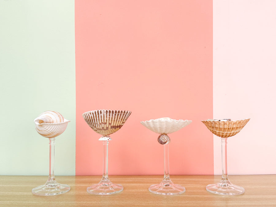 Set of Four Chic Shell Coupes