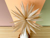 Cute Canvas Tabletop Palm Tree