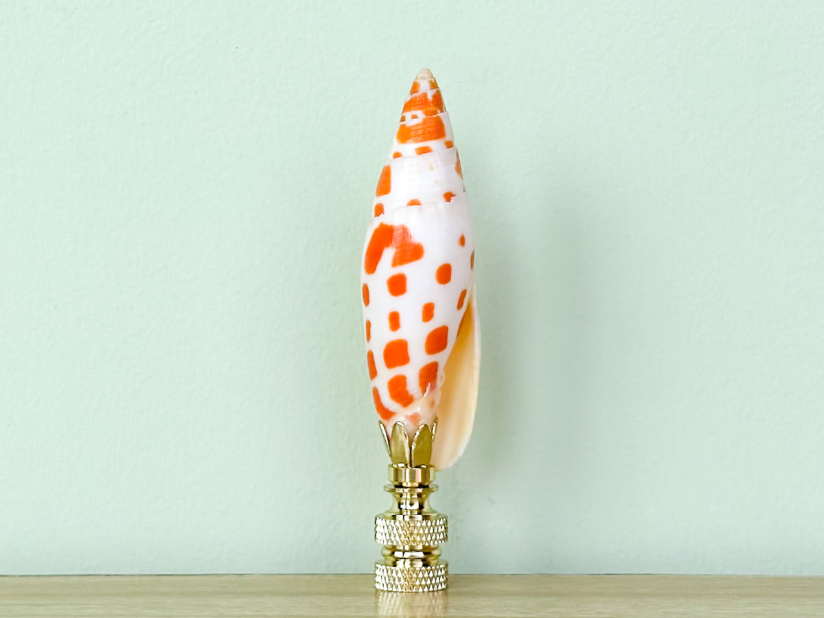 Mitra Shell Finial
