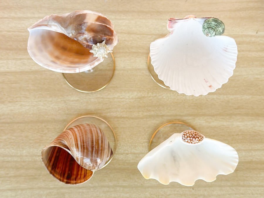 Set of Four Shell Coupes
