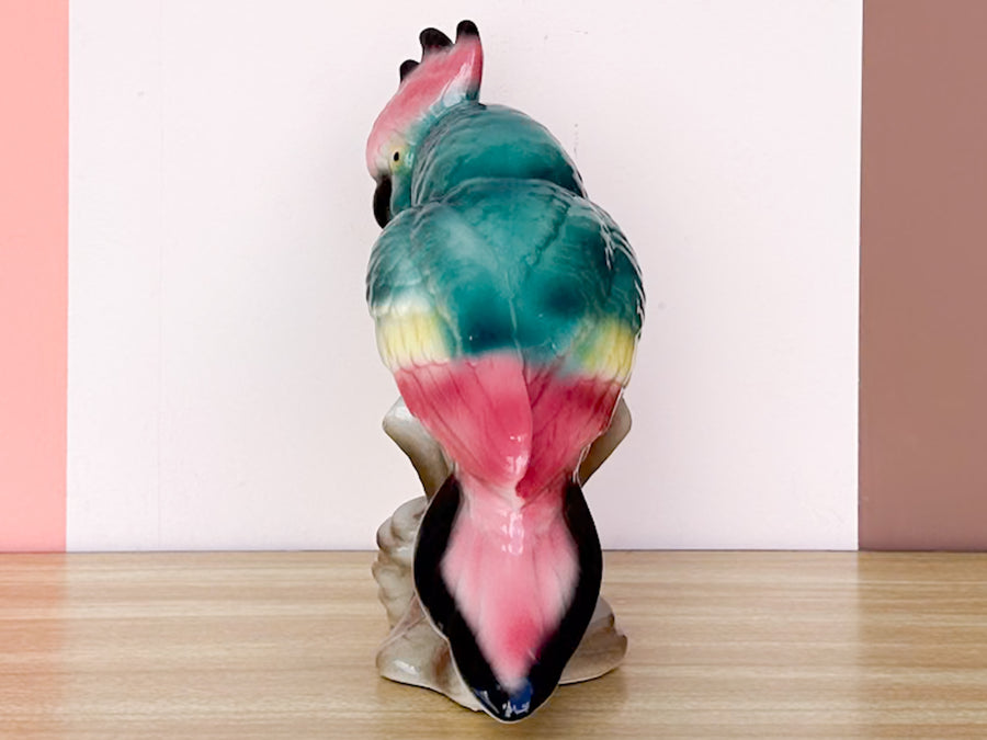 Cute Pink and Turquoise Cockatoo