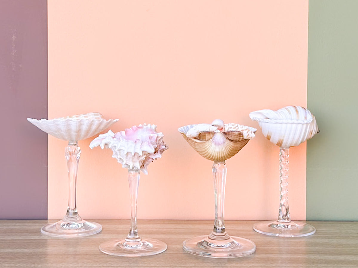 Set of Four Shell Coupes