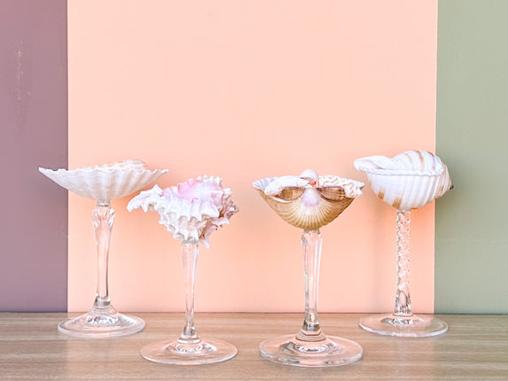 Set of Four Shell Coupes