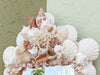 Coral Shell Chic Mirror