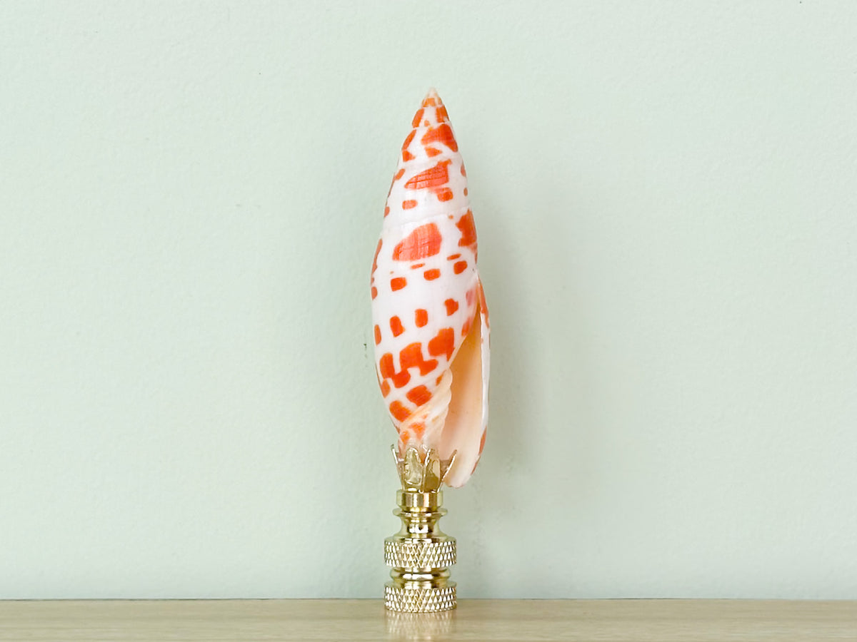 Mitra Shell Finial