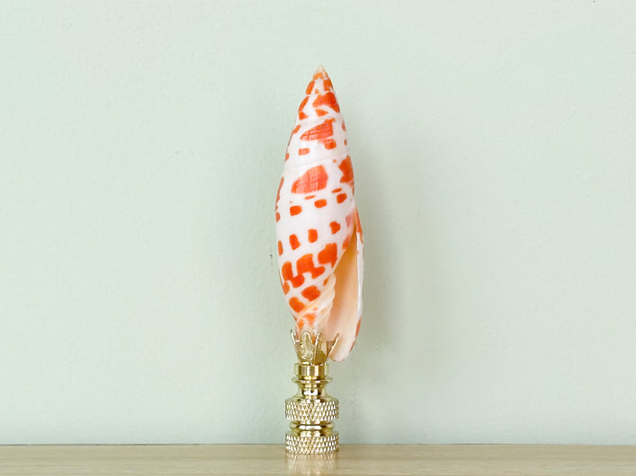 Mitra Shell Finial