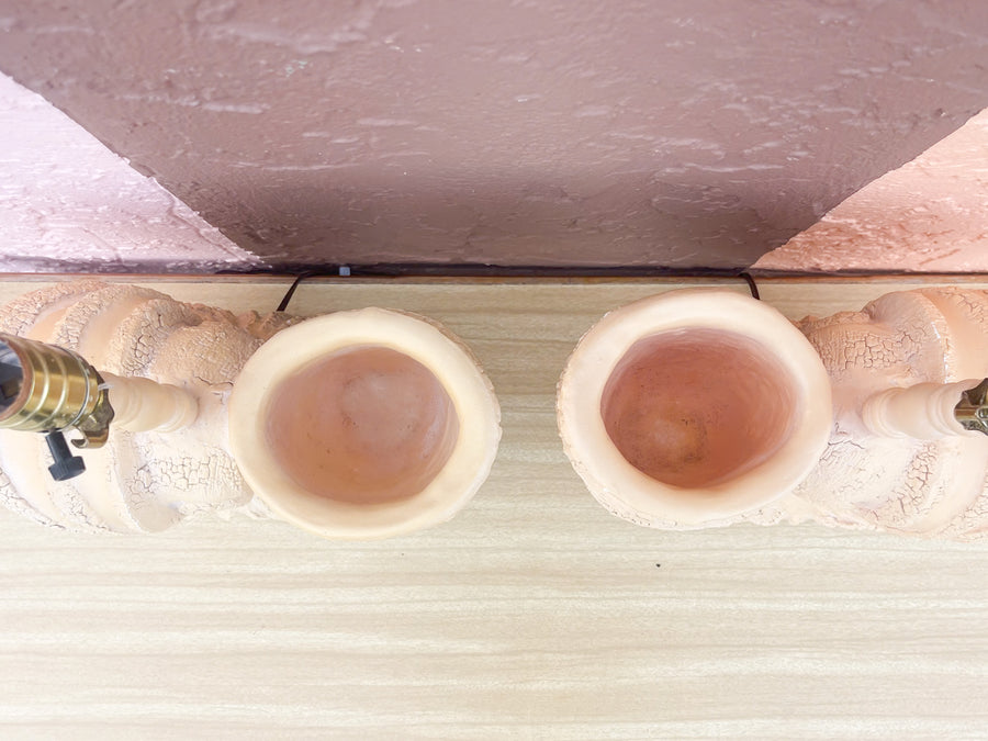 Pair of Plaster Nautilus Lamps