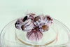 Purple Coral Lucite Ice Bucket