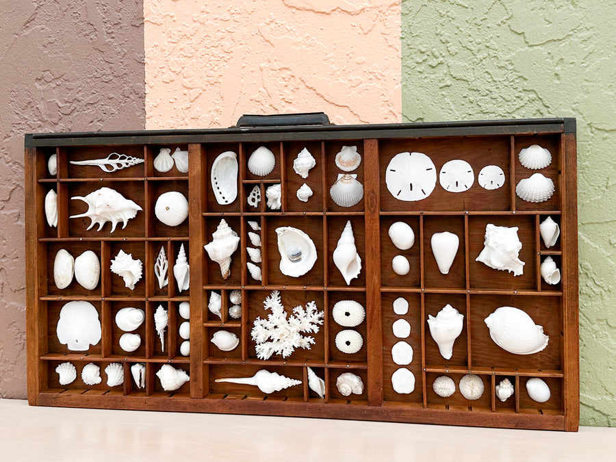 Printers Tray Shell Display