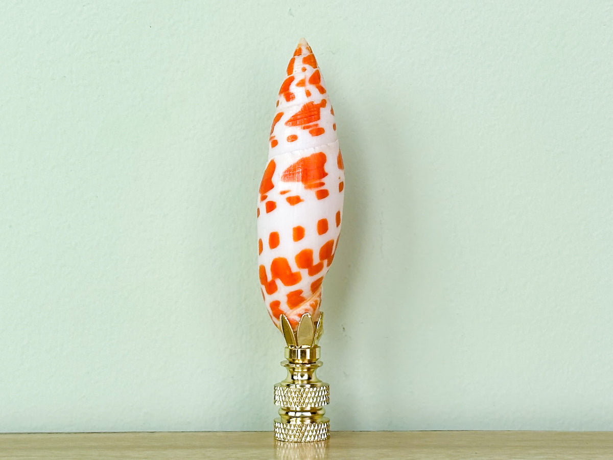 Mitra Shell Finial