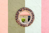 Old Florida Shell Mirror