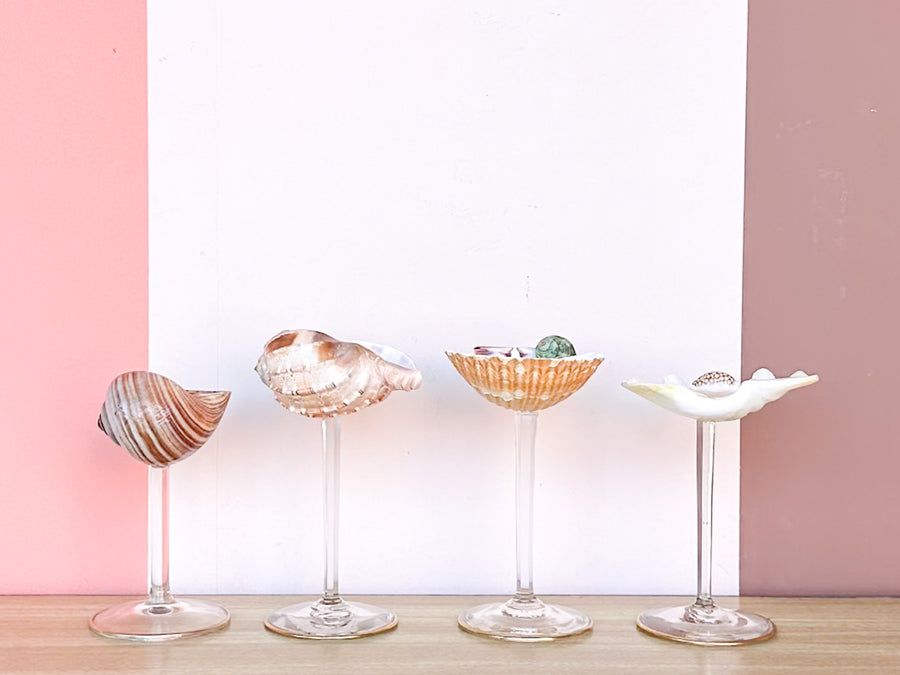 Set of Four Shell Coupes