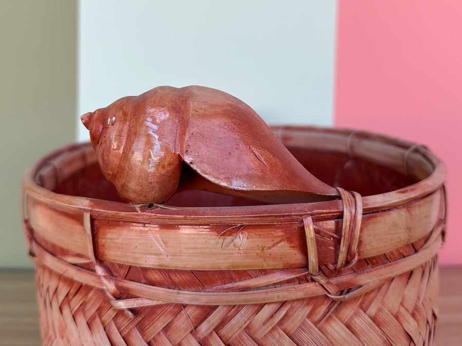 Pink Shell Handle Basket