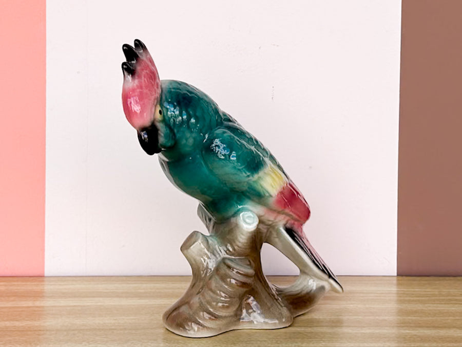 Cute Pink and Turquoise Cockatoo
