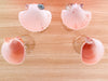 Set of Four Shell Chic Coupes