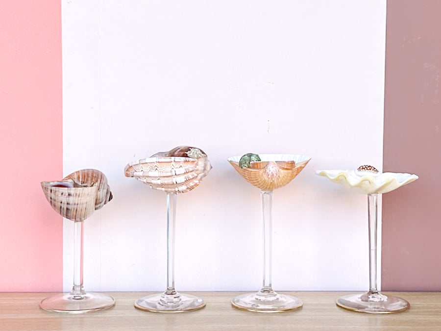 Set of Four Shell Coupes