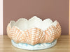 Coral and Blue Shell Cachepot