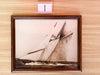 Sailing Ships Photo Reproduction Framed Art