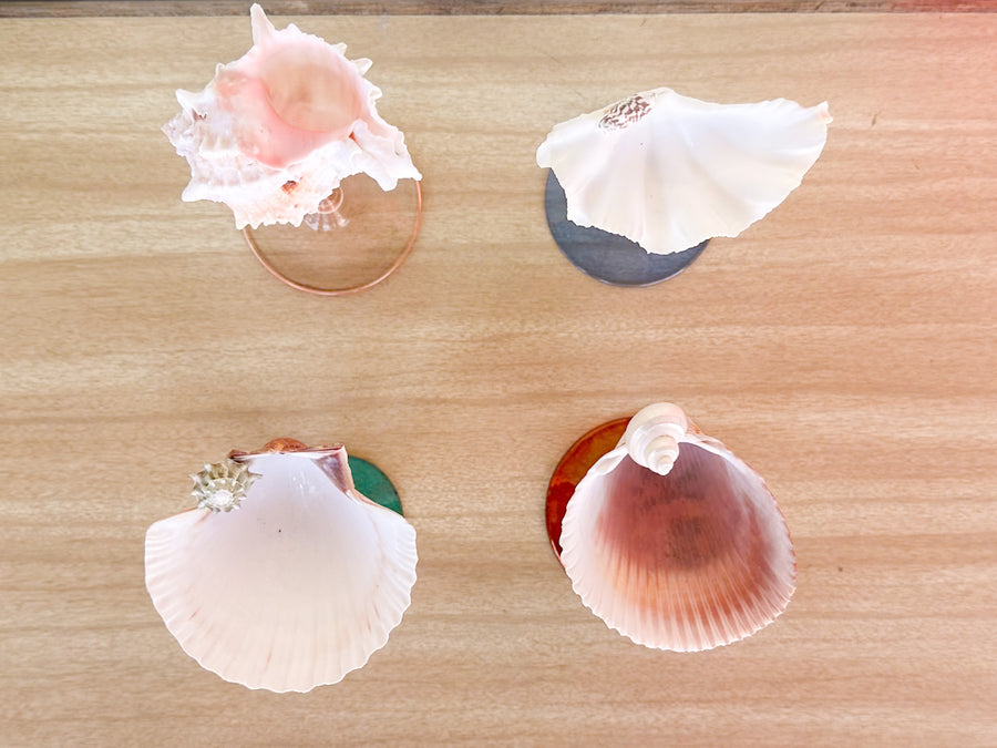 Set of Four Colorful Shell Coupes
