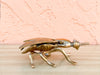 Brass Fly Trinket Dish