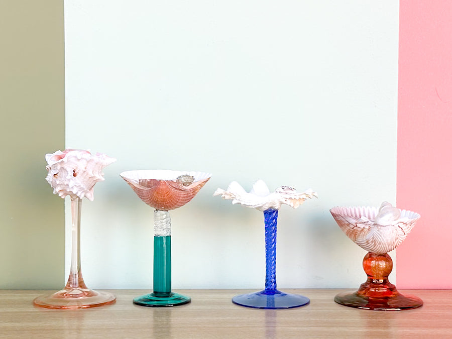 Set of Four Colorful Shell Coupes