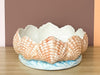 Coral and Blue Shell Cachepot