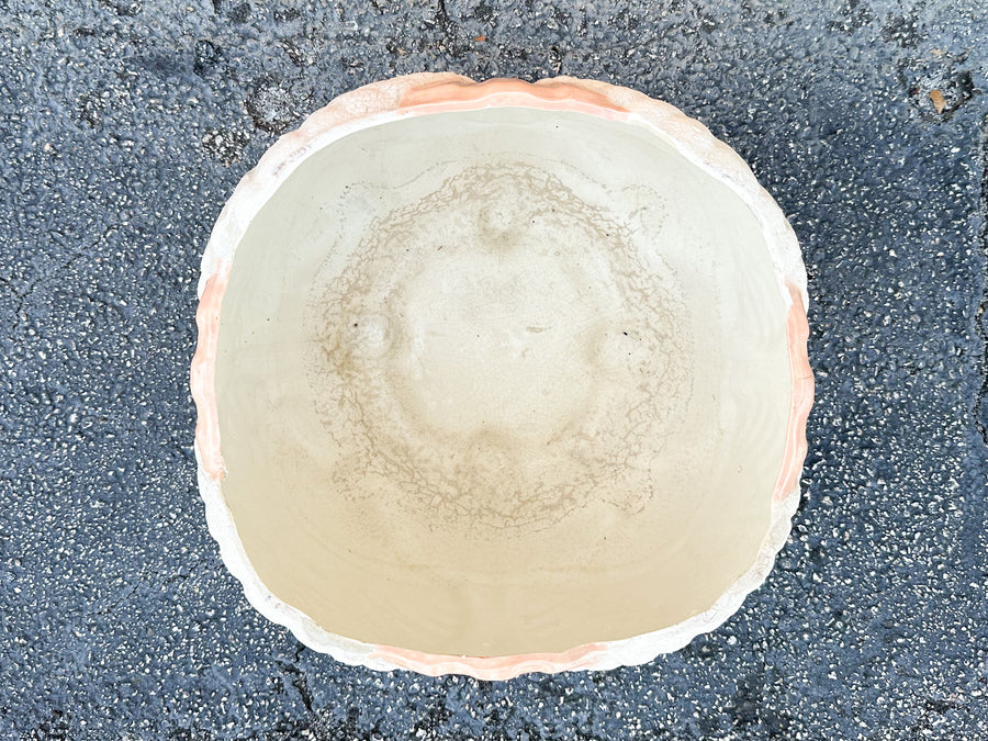 Large Shellegance Cachepot