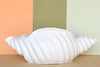 Large Italian Shell Cachepot