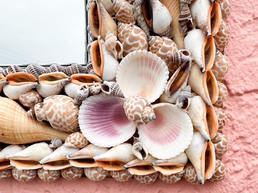 Old Florida Shell Mirror