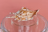 Brown Spider Shell Lucite Ice Bucket