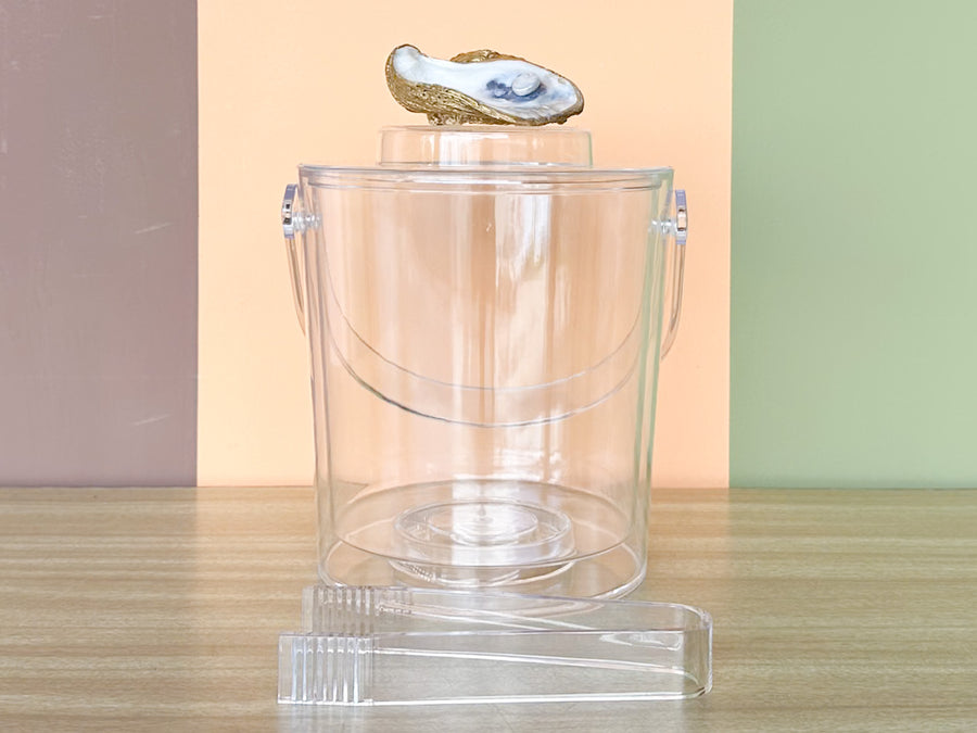 Oyster Shell Lucite Ice Bucket