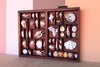 Medium Printers Tray Shell Display