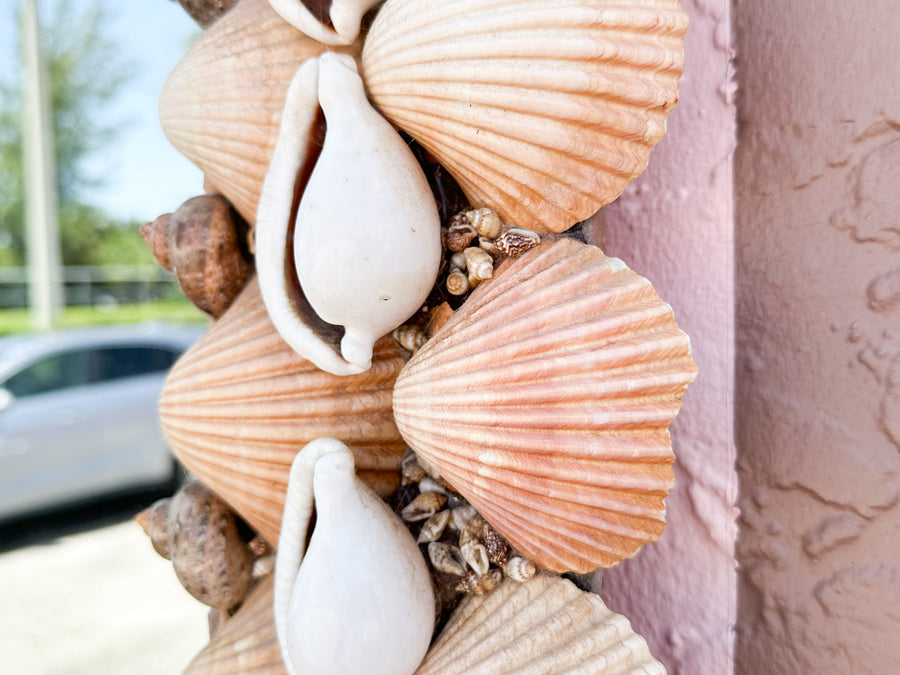 Fab Old Florida Shell Mirror