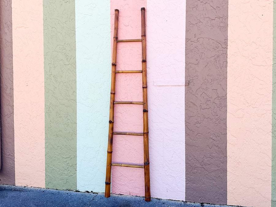 Bamboo Ladder